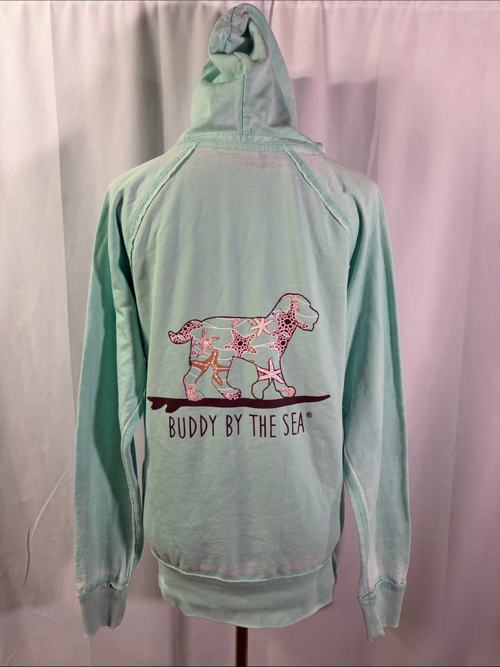 Buddy by the Sea Seafoam Green Virginia Beach Long Sleeve Pullover Hoodie